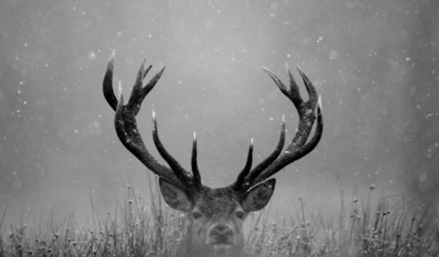 Capture d’écran 2012-02-21 à 00.25.16