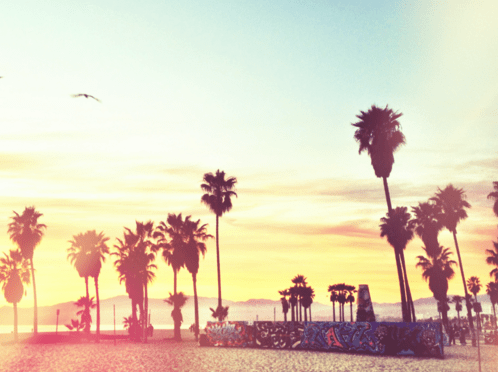 Capture d’écran 2013-03-18 à 22.29.53