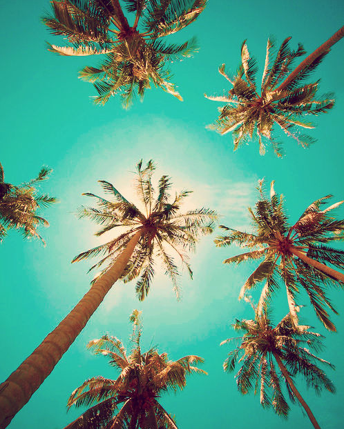 Capture d’écran 2013-04-01 à 14.09.30