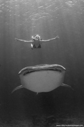 26d246a2f3fced744d2fefd68cdf0764