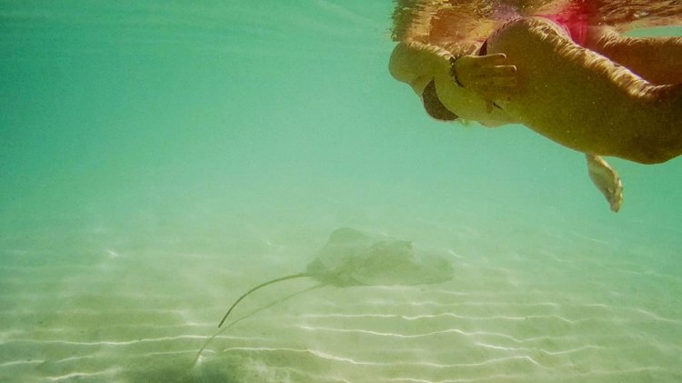 994213_10151828084239623_866228211_n