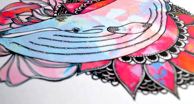 10443236_353493928140684_6248094936368585152_o