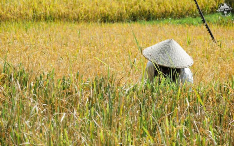 bali-yoga-teaching-laurie-pink-pack-17