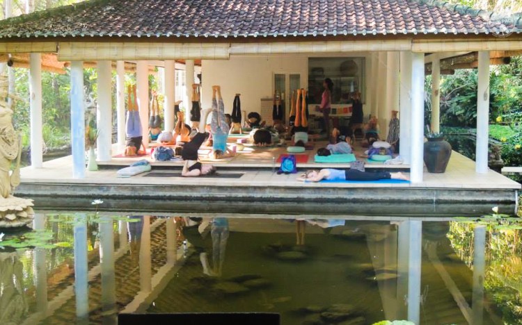 bali-yoga-teaching-laurie-pink-pack-23