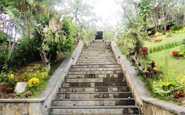 bali-yoga-teaching-laurie-pink-pack-3