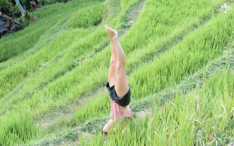 bali-yoga-teaching-laurie-pink-pack-5