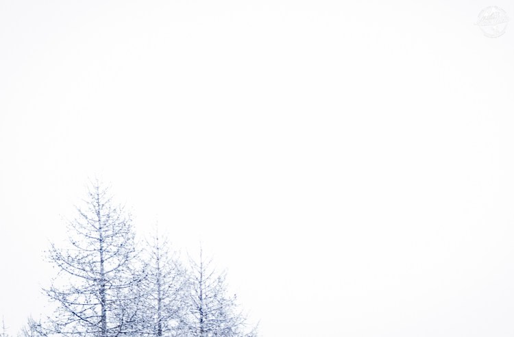 pink-pack-winter-session-mars15-jour1-19