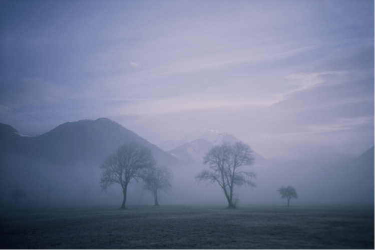 vanessa-andrieux-photographe-5