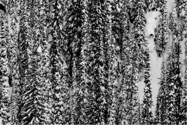 vanessa-andrieux-photographe-7