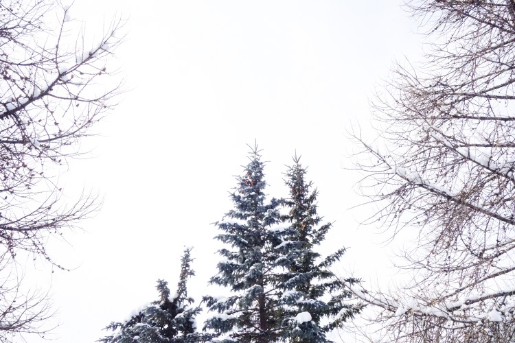 pink-pack-val-d-allos-2