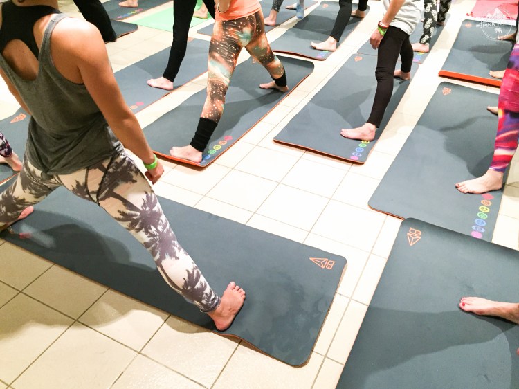 pink-pack-winter-session-2016-45