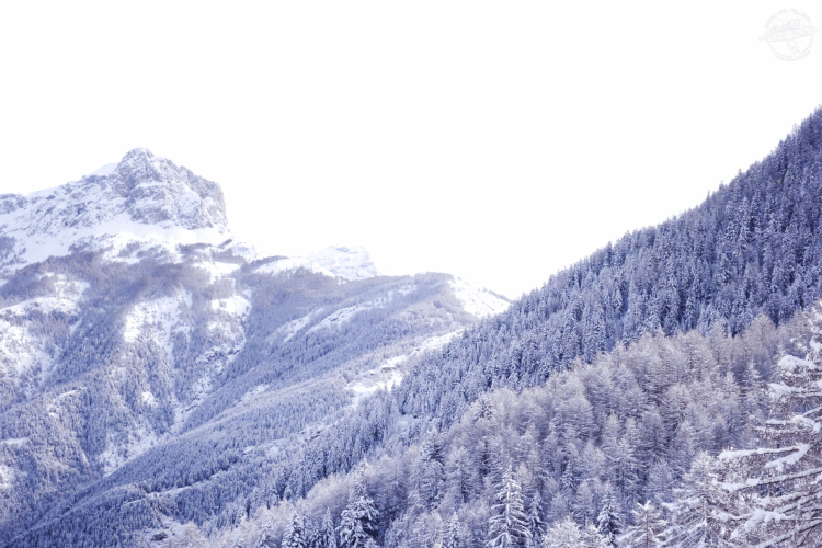 Capture d’écran 2016-02-17 à 18.50.59