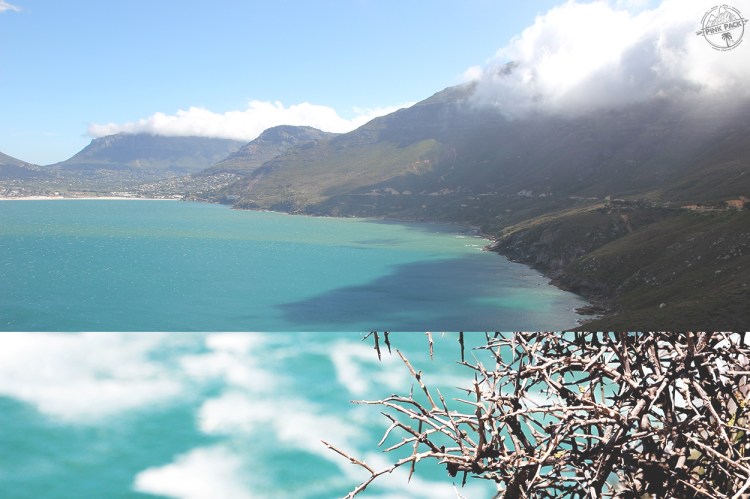 pink-pack_travel-diary_cape-town_chapmans-peak_17