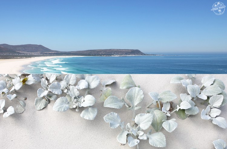 pink-pack_travel-diary_cape-town_noordhoek_16