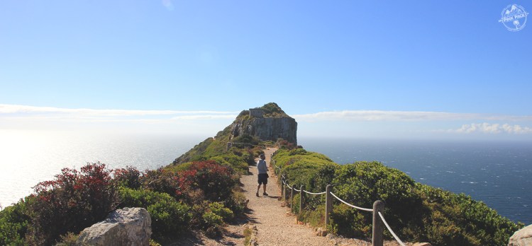 pink-pack_travel-diary_cape-town_point_15