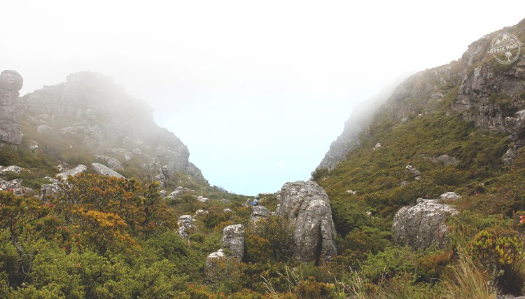 pink-pack_travel-diary_cape-town_table-mountain_6