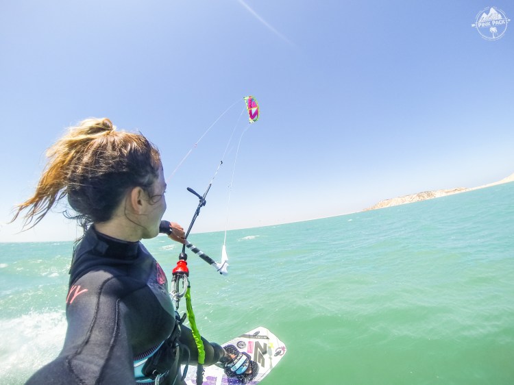 Il est pas loin de dauphin !