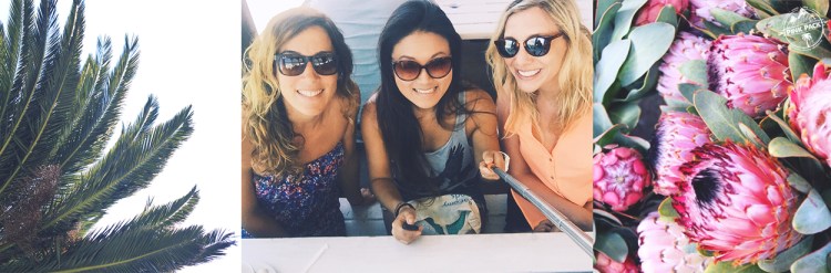 pink-pack_travel-diary_cape-town_protea_30