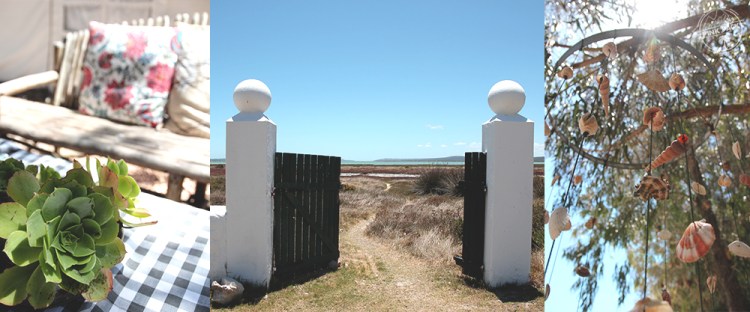 OK-pink-pack-langebaan-geelbek.1.jpg