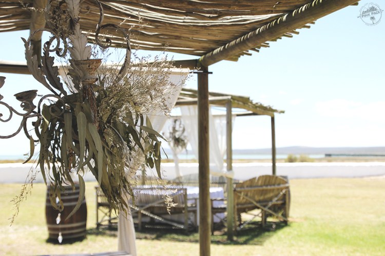 OK-pink-pack-langebaan-geelbek.3