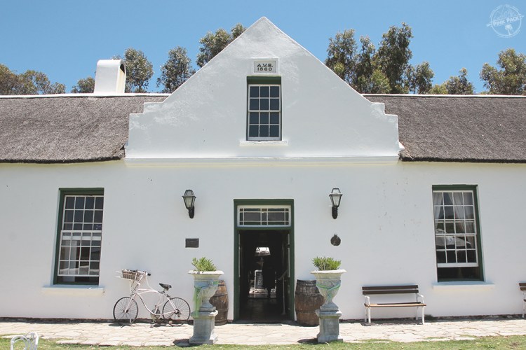 OK-pink-pack-langebaan-geelbek.4