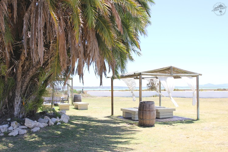 OK-pink-pack-langebaan-geelbek.5