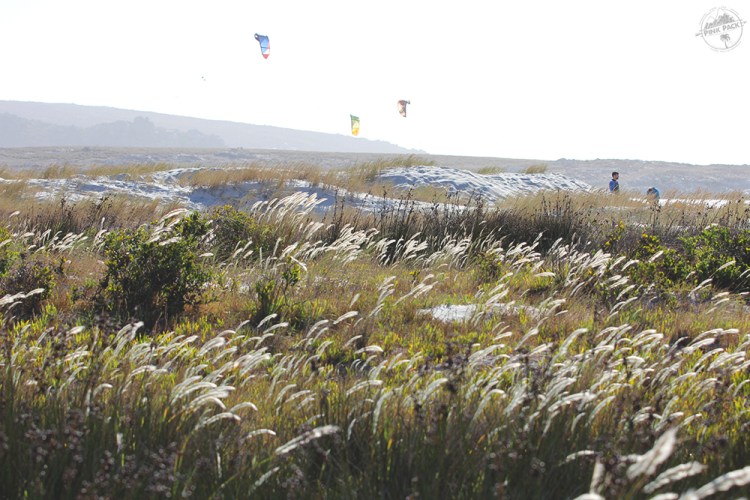 OK-pink-pack-langebaan-kitesurf.1