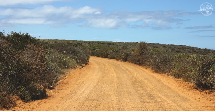 OK-pink-pack-langebaan-kitesurf.11