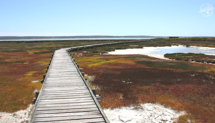 OK-pink-pack-langebaan-kitesurf.15