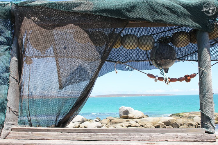 OK-pink-pack-langebaan-strand.1