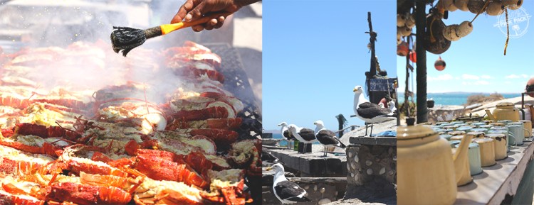 OK-pink-pack-langebaan-strand.4