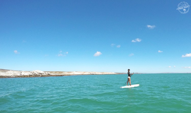 OK-pink-pack-langebaan-sup.1