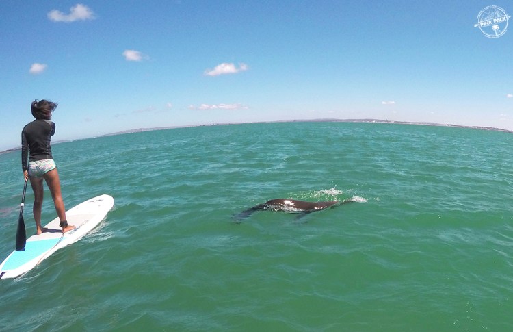 OK-pink-pack-langebaan-sup.2