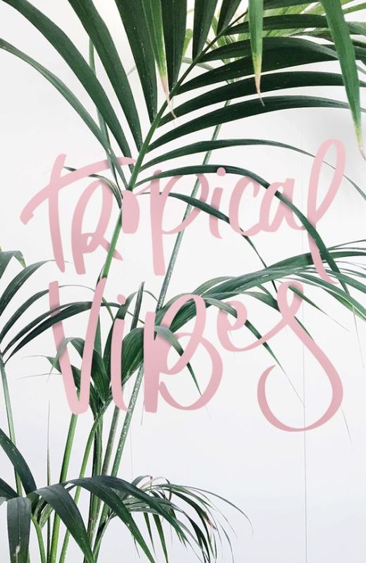 pink-pack-tropical-vibes-inspiration1