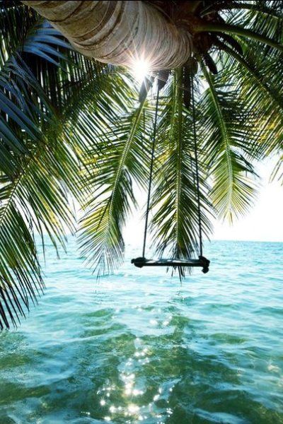 pink-pack-tropical-vibes-inspiration10