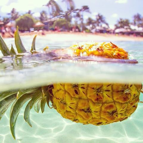 pink-pack-tropical-vibes-inspiration16