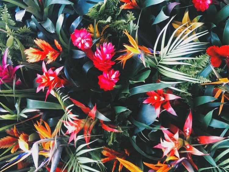 pink-pack-tropical-vibes-inspiration19