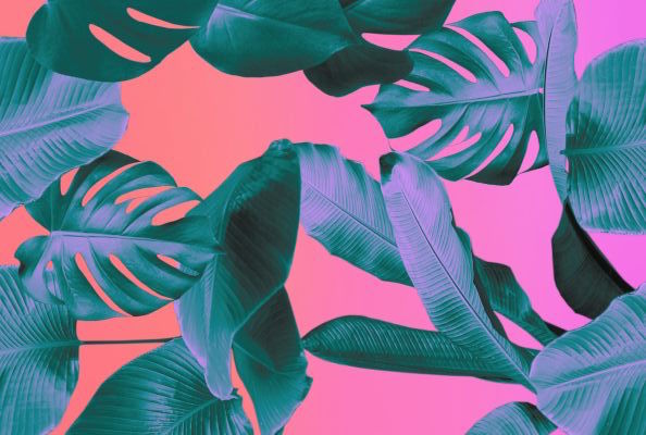 pink-pack-tropical-vibes-inspiration6