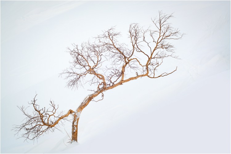 3-pink-pack-interview-photo-oreli-b