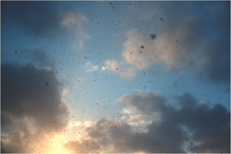 8-pink-pack-interview-photo-oreli-b