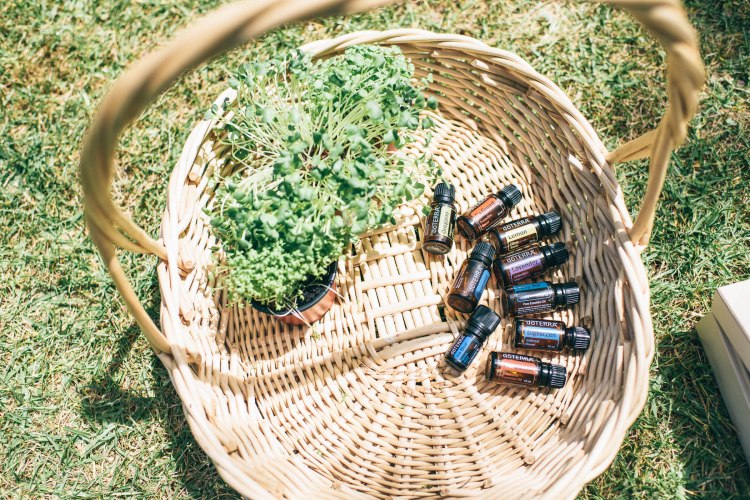 doterra_workshop-1990