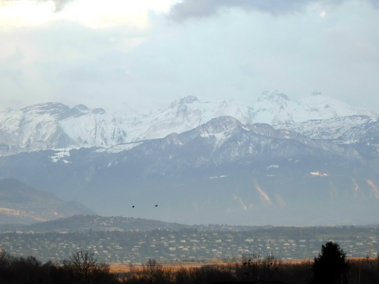 14-montagnesvue-copie