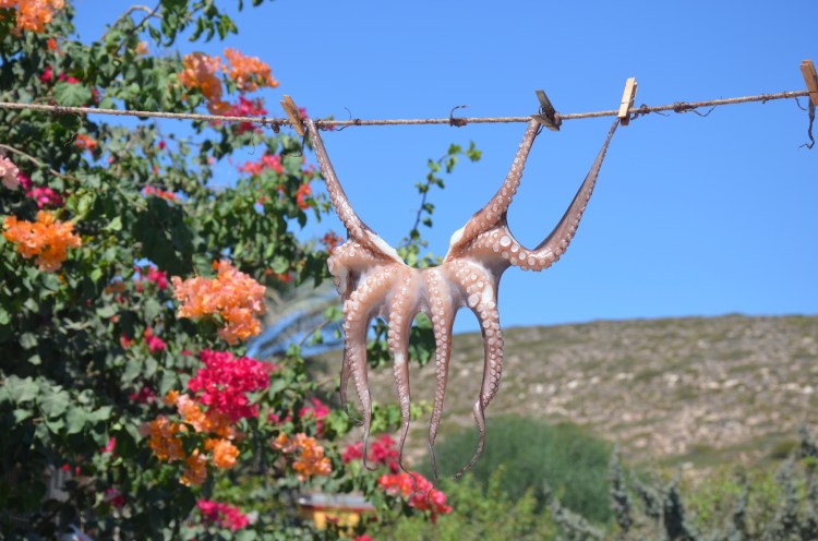 prasonisi kitesurf pink pack 