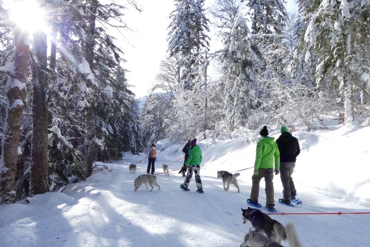 pink-pack-canirando1