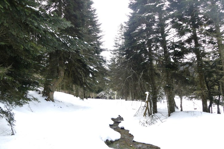 pink-pack-canirando14