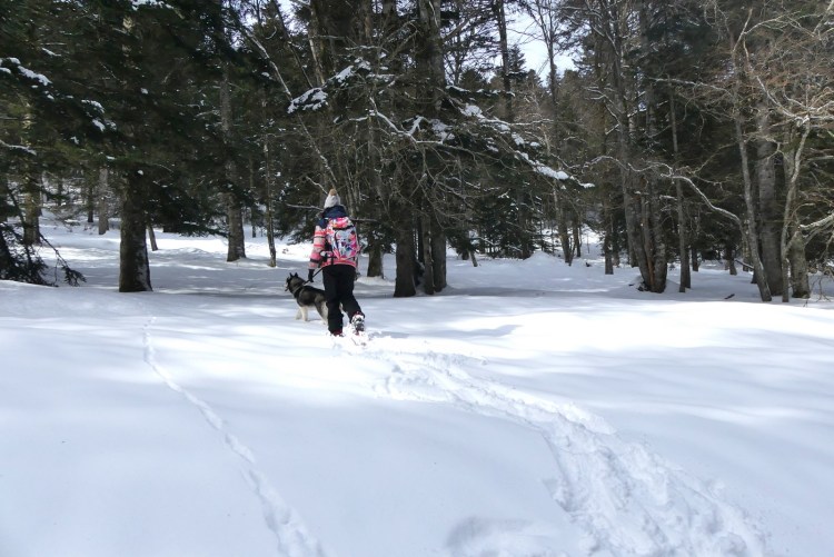 pink-pack-canirando15