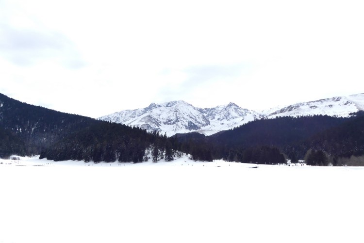 pink-pack-canirando26