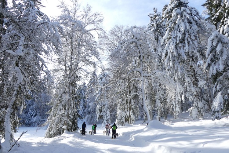 pink-pack-canirando3