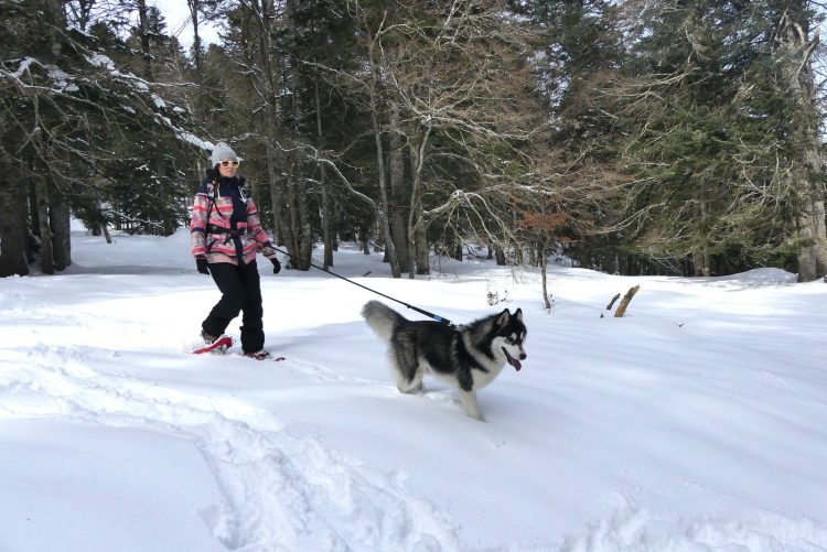 pink-pack-canirando9